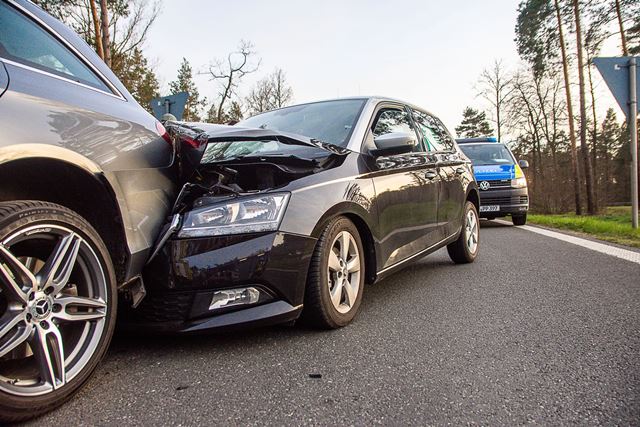 IMG-20220413-WA0008 groß.jpg